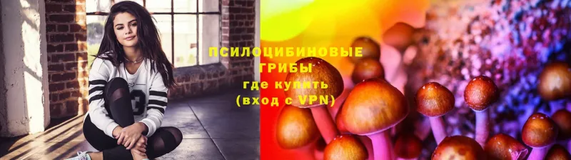 МЕГА ссылки  Мирный  Галлюциногенные грибы прущие грибы 